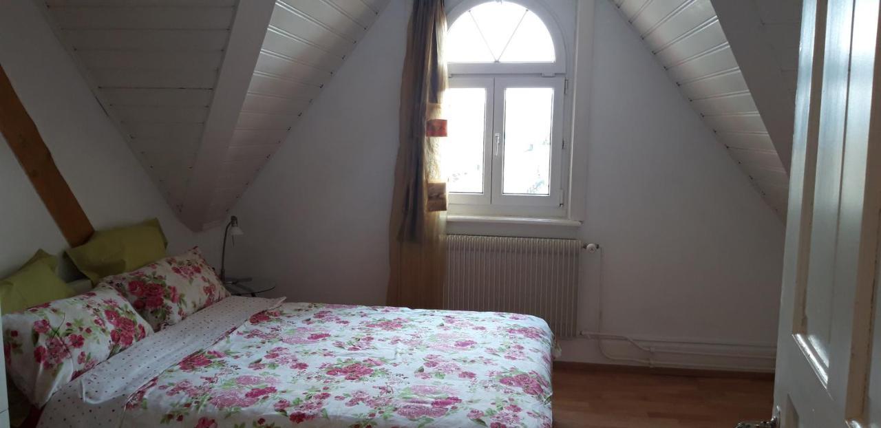 Ferienwohnung Stein Am Rhein Nahe Bahnhof Und Rhein Zewnętrze zdjęcie